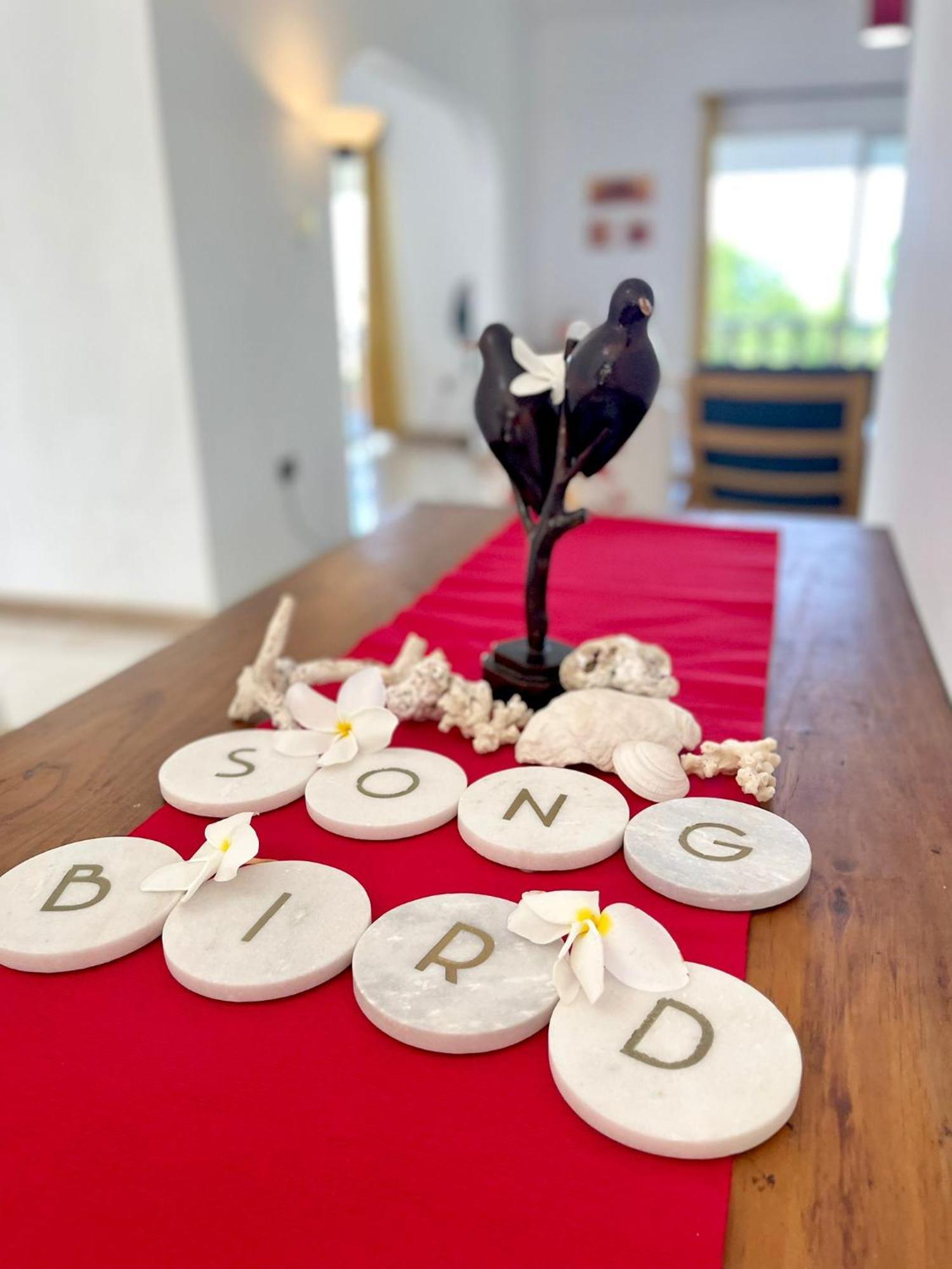 The Songbird Villa Pointe Au Sel المظهر الخارجي الصورة