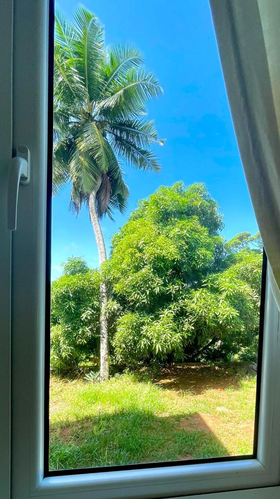 The Songbird Villa Pointe Au Sel المظهر الخارجي الصورة